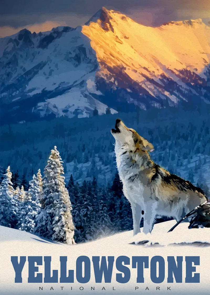 Puzzle Loup de Yellowstone - 500 à 999 pièces from Alipson Puzzle – box 1 of 2