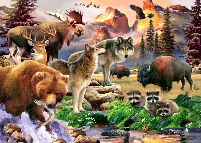 Puzzle The Great Outdoors - 500 à 999 pièces from Alipson Puzzle – box 1 of 2