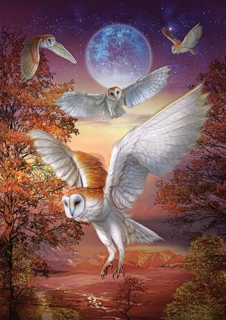 puzzel Moonlight Owls - 1000 stukjes karton. från Art Puzzle, utgåva Flerfärgad – kartong 1 av 2