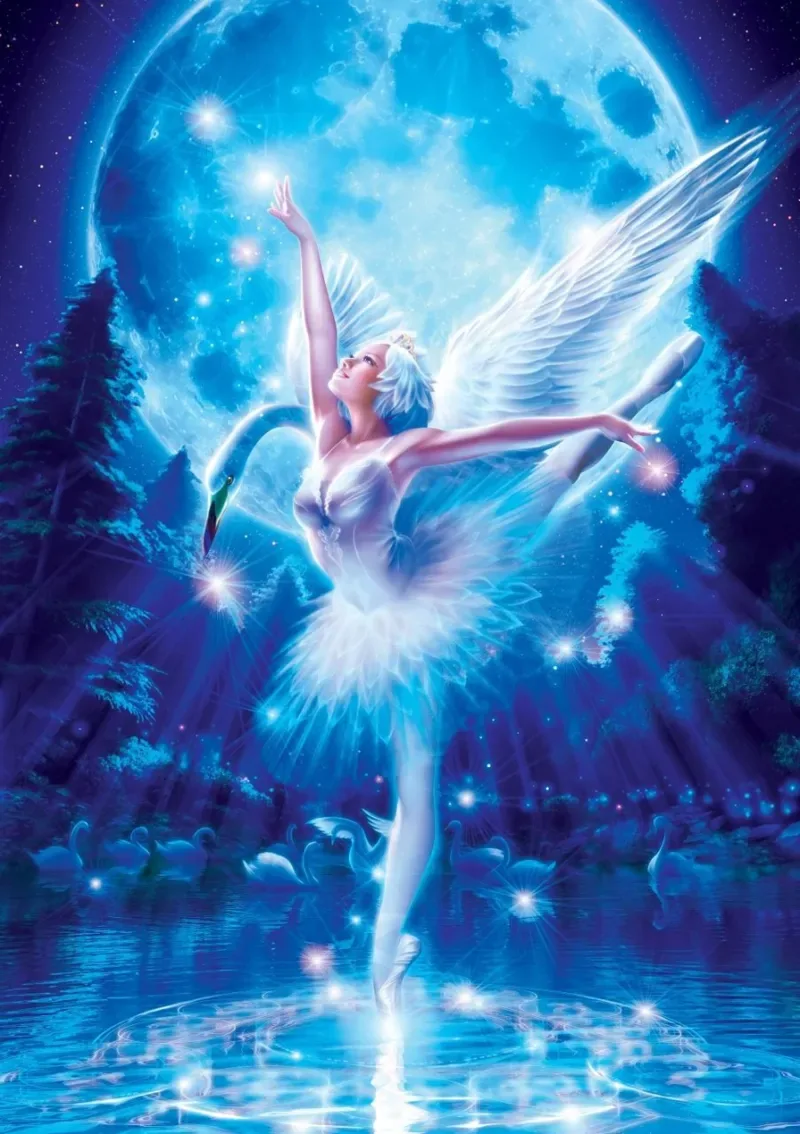 Puzzle Ballet du Lac des Cygnes - 1000 pièces fra Art Puzzle – æske