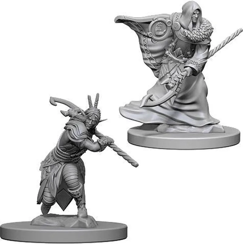 D&D Miniatures Elf Male Druid - EN de Asmodee, édition Grijs – boîte