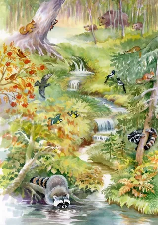 dieren bos - 1000 stukjes puzzel. fra Bluebird Puzzle, Flerfarvet-udgave – æske 1 af 2