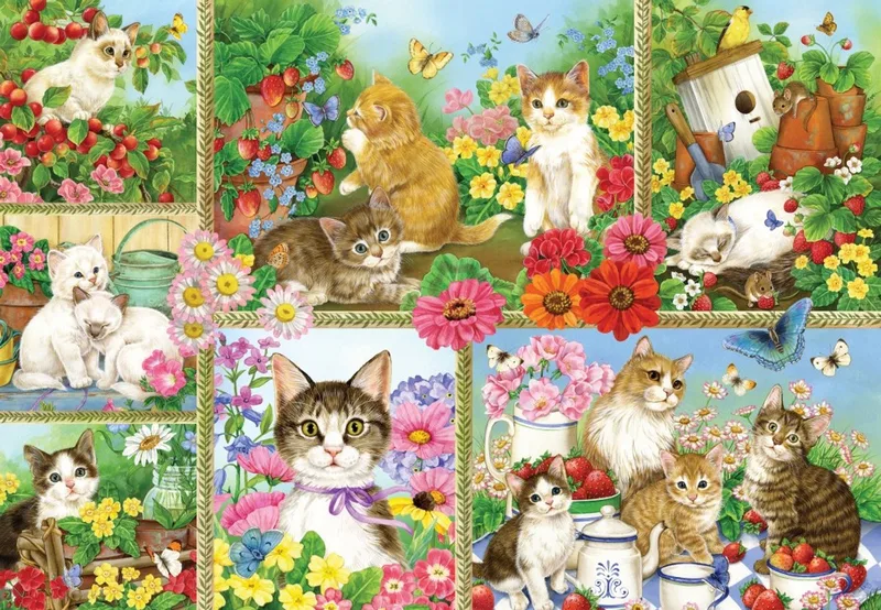 katten en kittens - legpuzzel 1000 stukjes. van Bluebird Puzzle, editie Meerkleurig – doos