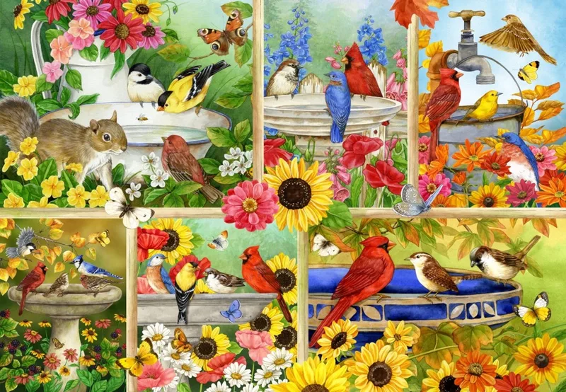 legpuzzel Feathers and Company - 1000 stukjes. from Bluebird Puzzle, Multicolour edition – box 1 of 2