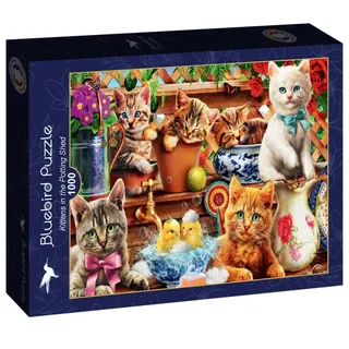 legpuzzel Kittens in the Potting Shed - 1000 stukjes. fra Bluebird Puzzle, Flerfarvet-udgave – æske 2 af 2
