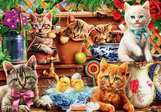 legpuzzel Kittens in the Potting Shed - 1000 stukjes. fra Bluebird Puzzle, Flerfarvet-udgave – æske 1 af 2