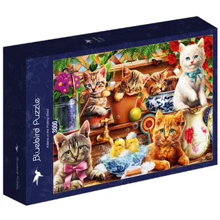 legpuzzel Kittens in the Potting Shed - 3000 stukjes. de Bluebird Puzzle, édition Multicolore – boîte 2 sur 2