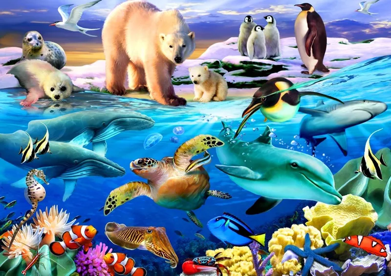 legpuzzel Oceans of Life - 1000 stukjes kleurrijk. from Bluebird Puzzle, Multicolour edition – box 1 of 2