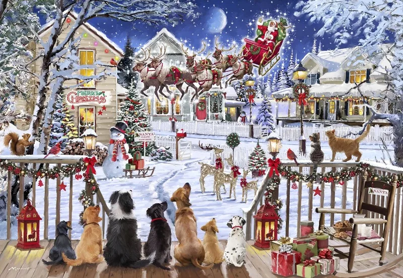 legpuzzel Pets on Porch - 1000 stukjes kleurrijk. from Bluebird Puzzle, Multicolour edition – box