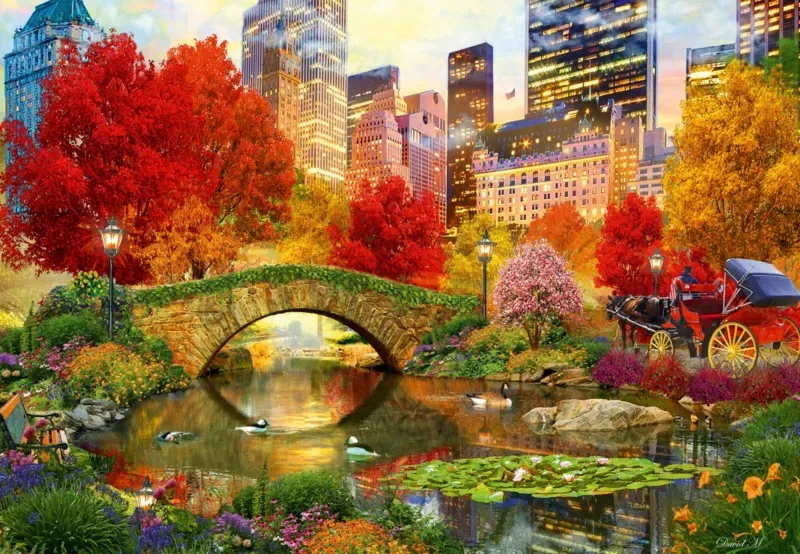 Puzzle Central Park NYC - 1000 pièces van Bluebird Puzzle – doos 1 van 2