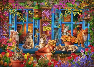 Puzzle Chats sur le Rebord de la Fenêtre - 200 à 499 pièces de Bluebird Puzzle – boîte 1 sur 2
