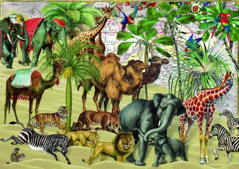 Puzzle Desert - 1000 pièces van Bluebird Puzzle – doos