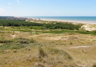 Puzzle Dunes d'Hardelot, Côte d'Opale, France - 1000 pièces de Bluebird Puzzle – boîte 1 sur 2