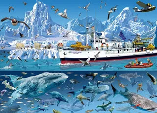 Puzzle François Ruyer - Arctic - Bluebird Boat - 1500 pièces de Bluebird Puzzle – boîte 1 sur 2