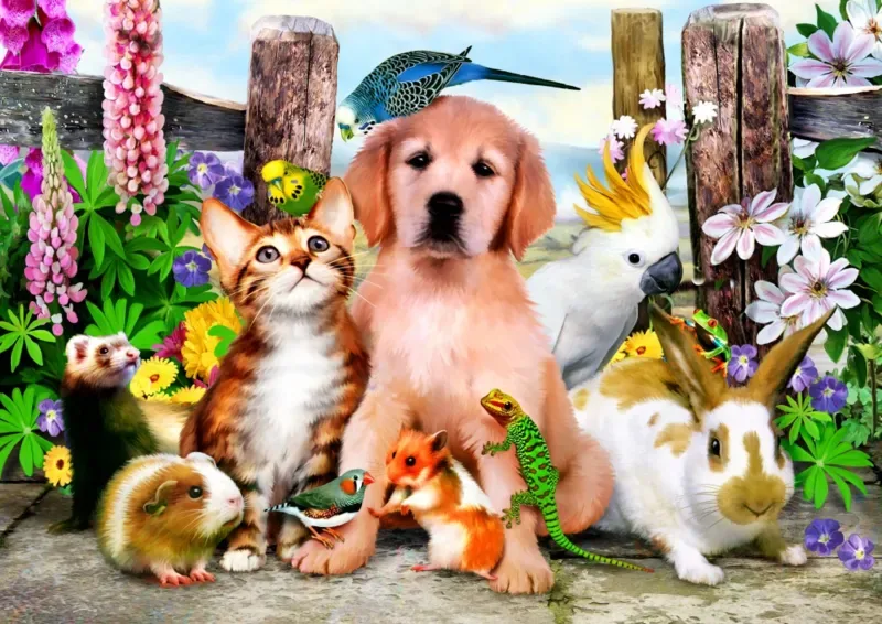 Puzzle Good Companions - 500 à 999 pièces van Bluebird Puzzle – doos 1 van 2