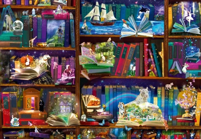 Puzzle Library Adventures in Reading - 1000 pièces van Bluebird Puzzle – doos