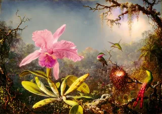 Puzzle Martin Johnson Heade - Cattleya Orchid and Three Hummingbirds, 1871 - 1000 pièces van Bluebird Puzzle – doos 1 van 2