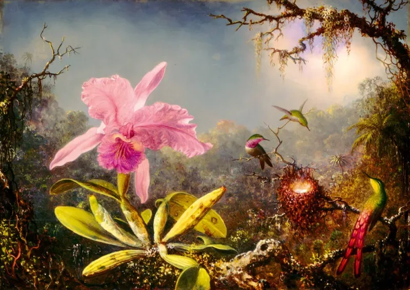 Puzzle Martin Johnson Heade - Cattleya Orchid and Three Hummingbirds, 1871 - 1000 pièces van Bluebird Puzzle – doos 1 van 2