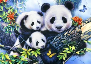 Puzzle Panda Family - 1000 pièces von Bluebird Puzzle – Schachtel 1 von 2