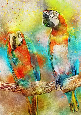 Puzzle Parrots - 1000 pièces from Bluebird Puzzle – box 1 of 2