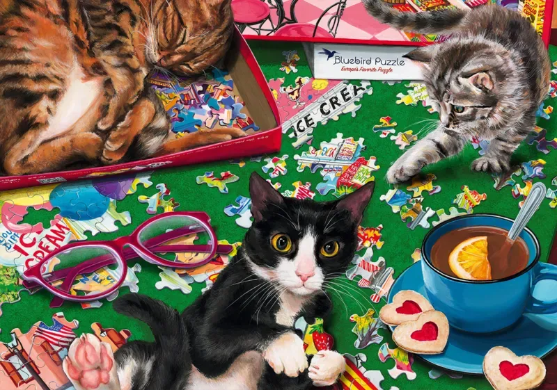 Puzzle Puzzle Cats - 1000 pièces van Bluebird Puzzle – doos