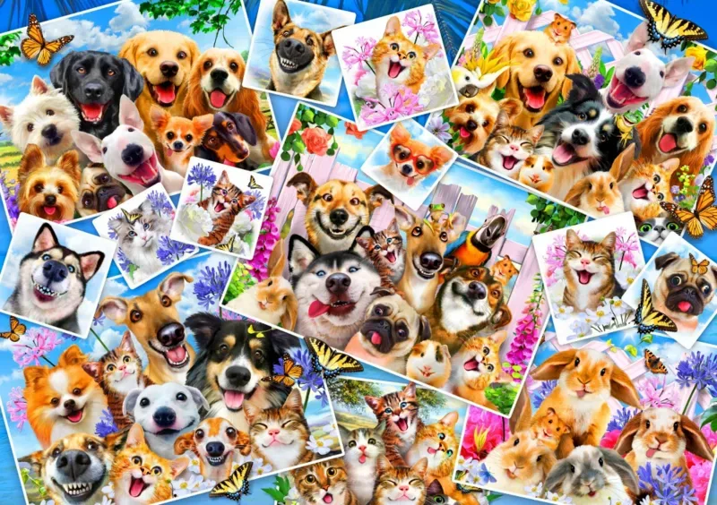 Puzzle Selfie Pet Collage - 1000 pièces van Bluebird Puzzle – doos