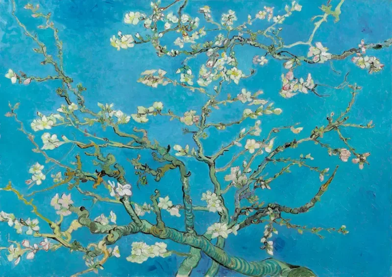 Puzzle Vincent Van Gogh - Almond Blossom, 1890 - 1000 pièces de Bluebird Puzzle – boîte 1 sur 2