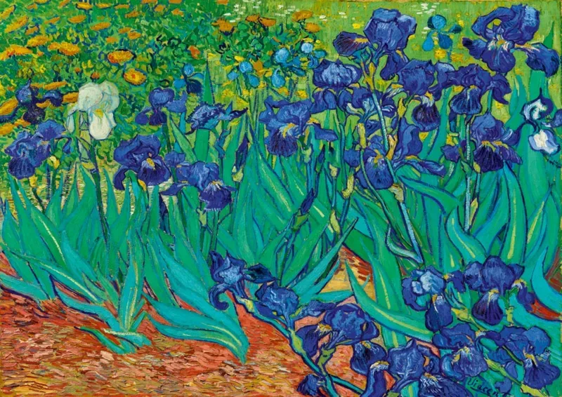 Puzzle Vincent Van Gogh - Irises, 1889 - 1000 pièces van Bluebird Puzzle – doos