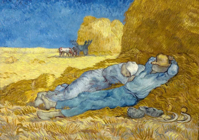 Puzzle Vincent Van Gogh - The siesta (after Millet), 1890 - 1000 pièces de Bluebird Puzzle – boîte