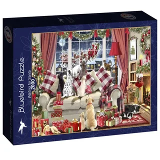 Waiting for Santa Puzzel 2000 stukjes de Bluebird Puzzle, édition Multicolore – boîte 2 sur 2