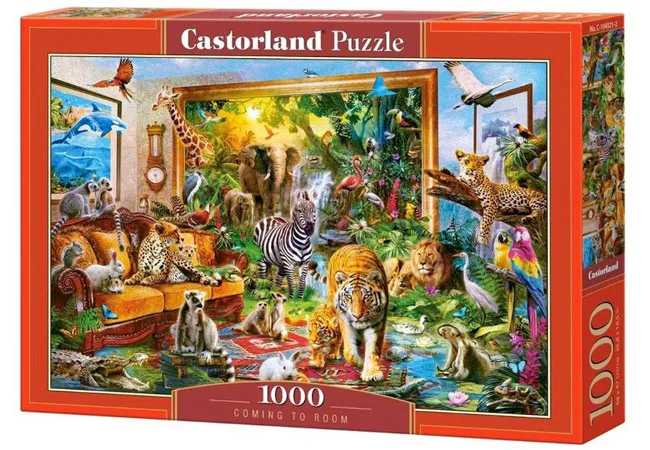 Coming to Room (1000) from Castorland – box