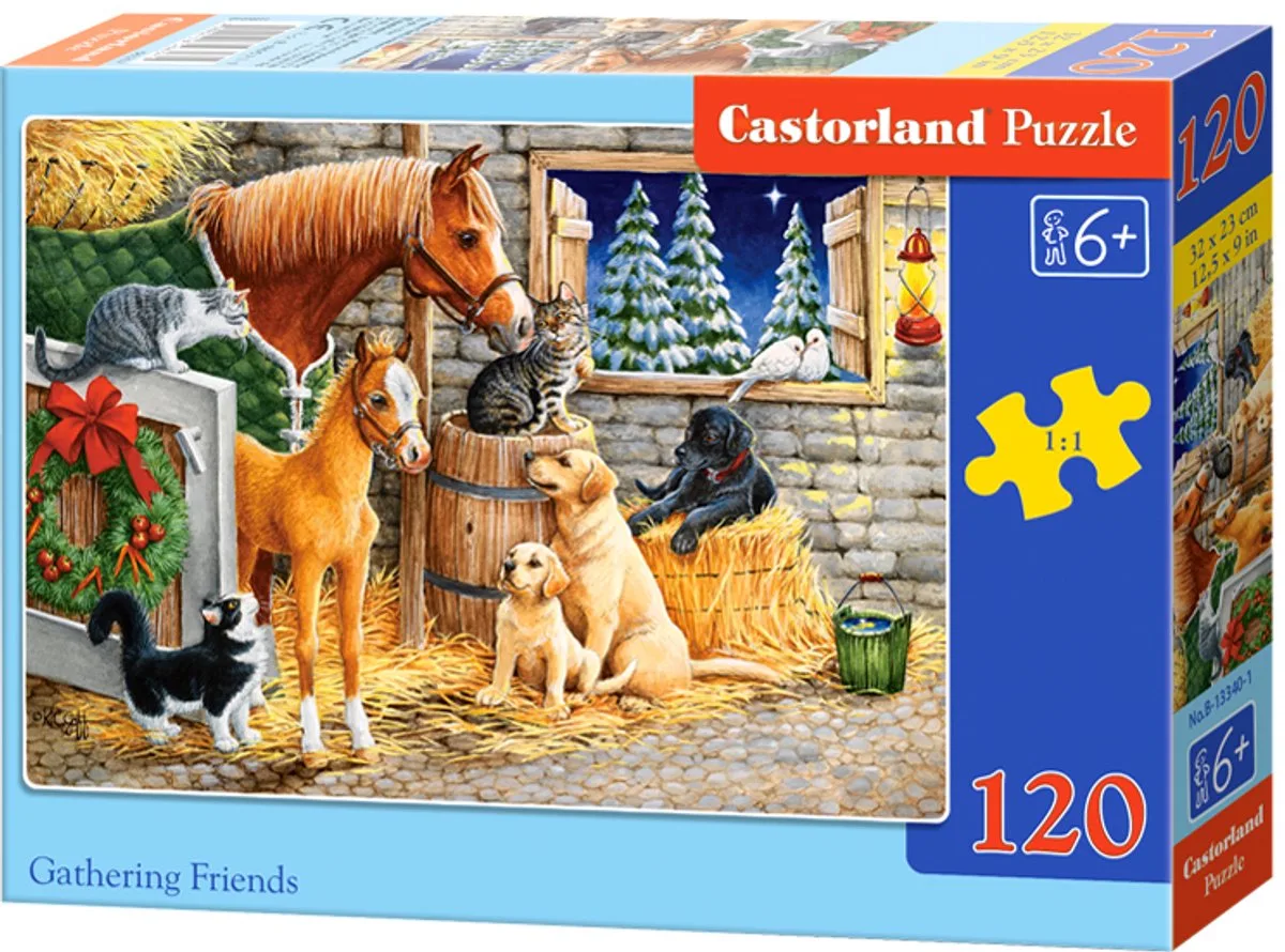 Gathering friends - 120 stukjes van Castorland, editie Meerkleurig – doos
