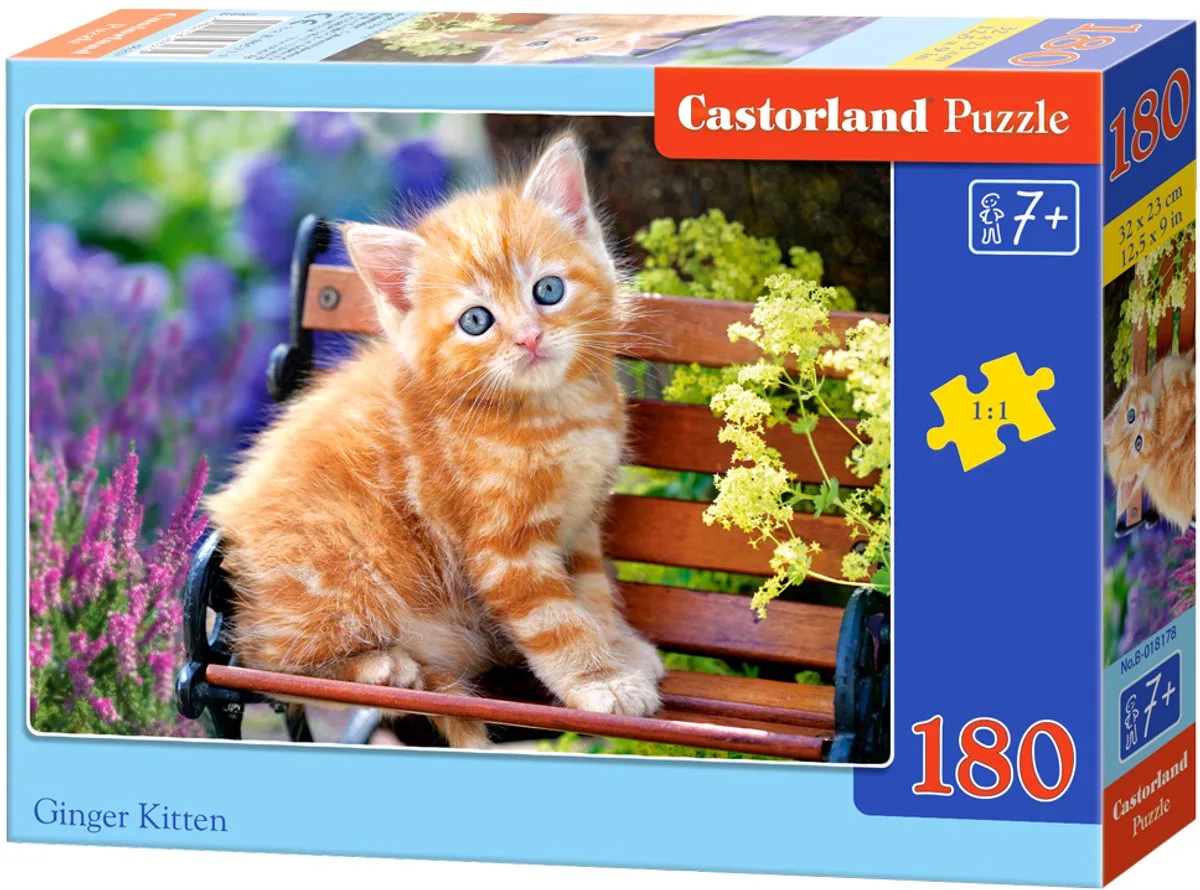 Ginger Kitten - 180 stukjes van Castorland, editie Meerkleurig – doos