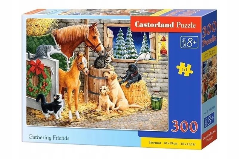Grote Puzzel 300 Stukjes - Educatieve Logica en Creativiteit de Castorland, édition Information not available – boîte