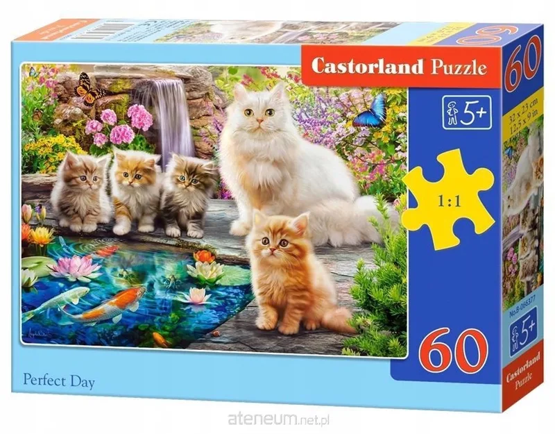 Merkloos Puzzel 60 Stukken - Perfect Day from Castorland – box