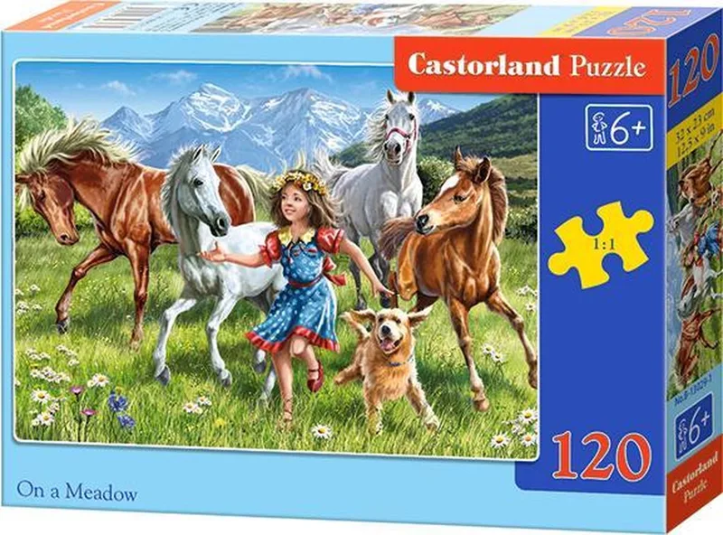 On a meadow (120 stukjes) from Castorland – box