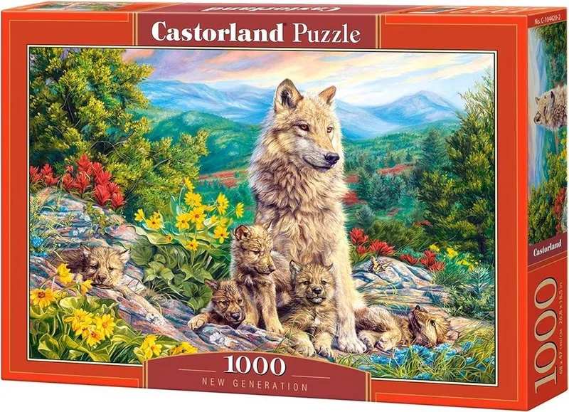 Puzzel – 1.000 stukjes – Satijnen afwerking – Perfecte pasvorm – Europese kwaliteit från Castorland, utgåva New Generation – kartong