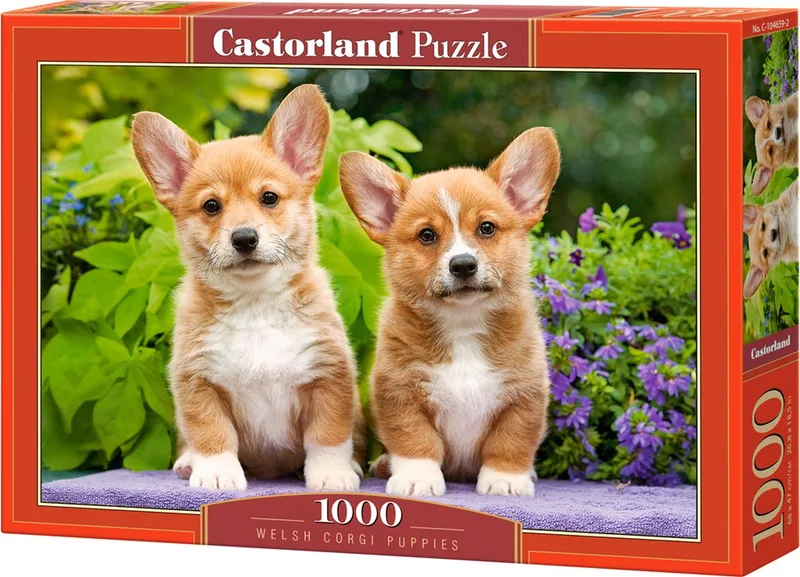Puzzel – 1.000 stukjes – Satijnen afwerking – Perfecte pasvorm – Europese kwaliteit från Castorland, utgåva Welsh Corgi Puppies – kartong