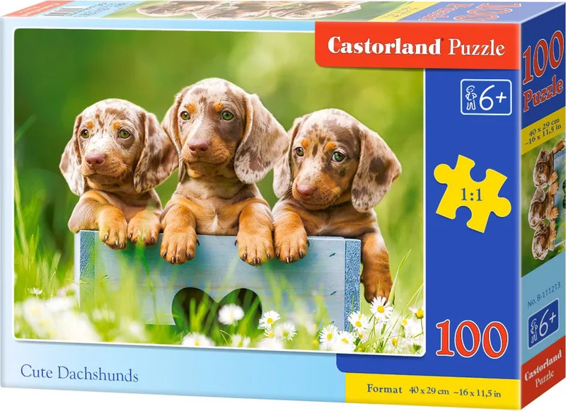Puzzel – 100 stukjes – Honden – Premium kwaliteit van Castorland, editie Cute Dachshunds – doos