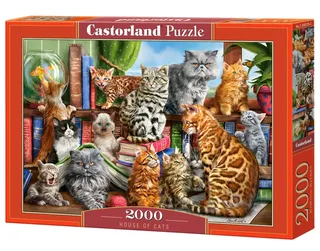Puzzel – 2.000 stukjes – Satijnen afwerking – Perfecte pasvorm – Europese kwaliteit von Castorland, Ausgabe House of Cats – Schachtel 2 von 2