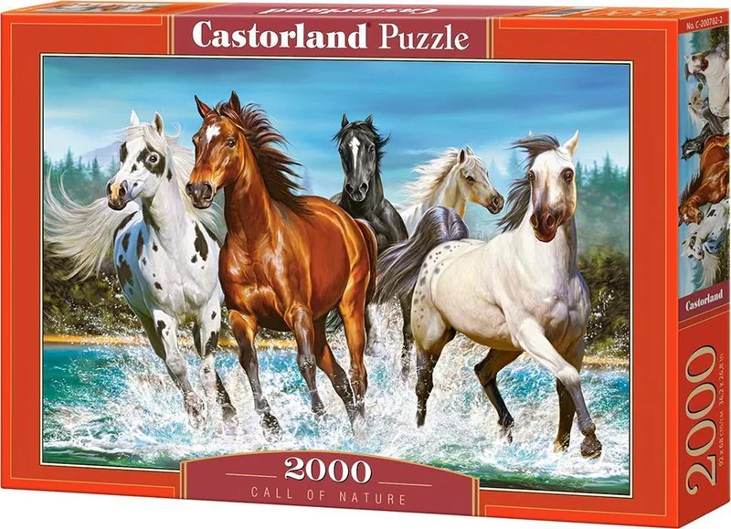 Puzzel – 2.000 stukjes – Satijnen afwerking – Perfecte pasvorm – Europese kwaliteit von Castorland, Ausgabe Call of Nature – Schachtel
