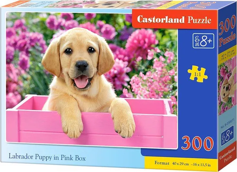 Puzzel – 300 stukjes – Puppy – Premium kwaliteit fra Castorland, Labrador Puppy in Pink Box-udgave – æske