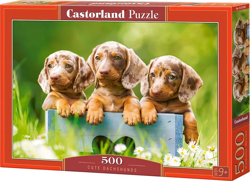 Puzzel – 500 stukjes – Satijnen afwerking – Perfecte pasvorm – Europese kwaliteit von Castorland, Ausgabe Cute Dachshunds – Schachtel 1 von 2