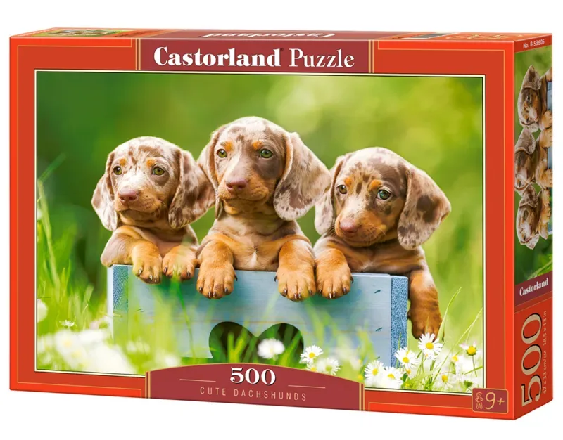 Puzzel – 500 stukjes – Satijnen afwerking – Perfecte pasvorm – Europese kwaliteit von Castorland, Ausgabe Cute Dachshunds – Schachtel 2 von 2
