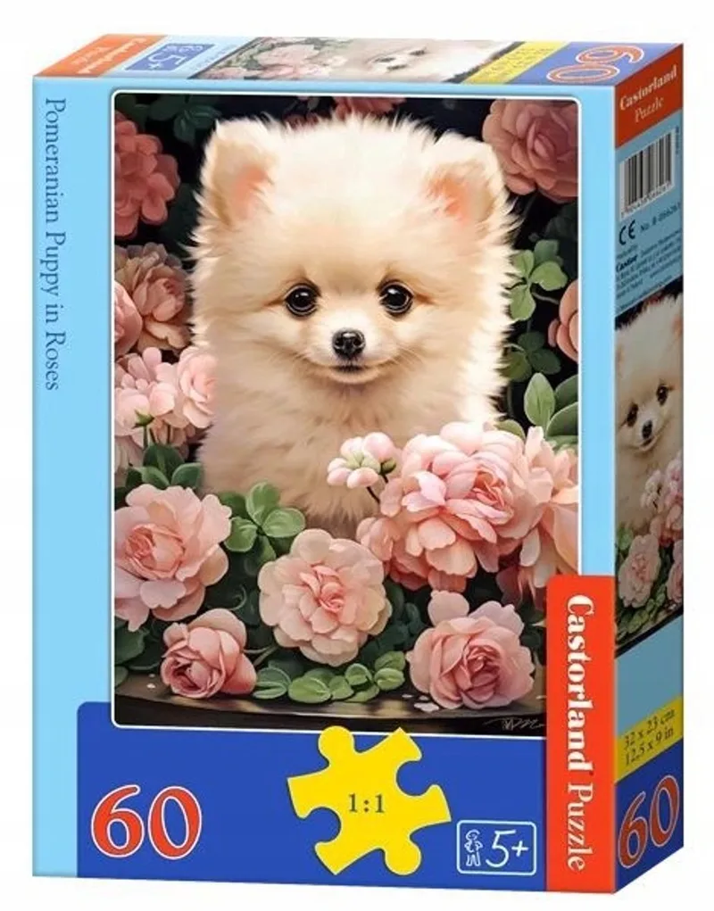 Puzzel 60 Stukken: Pomeranian Puppy in Rozen from Castorland, Multicolour edition – box