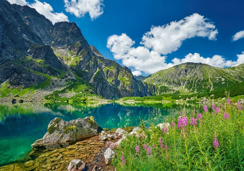 puzzel Czarny Staw pod Rysami Tatras Polen - 500 stukjes. fra Castorland, Flerfarvet-udgave – æske