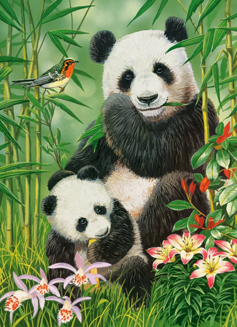 puzzel Panda Brunch - 300 stukjes legpuzzel speelgoed. van Castorland, editie Meerkleurig – doos