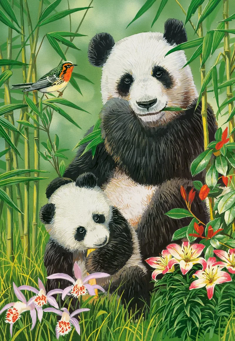 puzzel Panda-Brunch - legpuzzel 1000 stukjes panda. van Castorland, editie Meerkleurig – doos