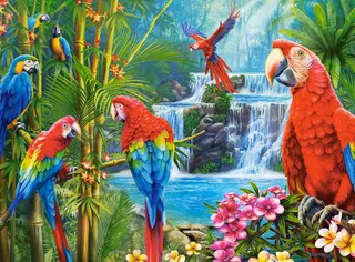 puzzel Parrot Meeting - 2000 stukjes legpuzzel. from Castorland, Multicolour edition – box 1 of 2