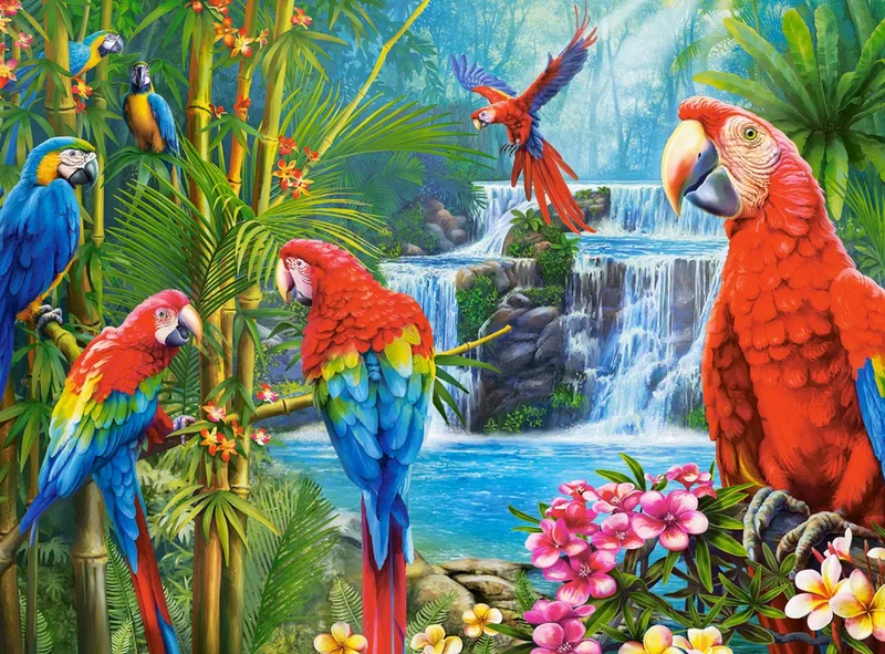 puzzel Parrot Meeting - 2000 stukjes legpuzzel. from Castorland, Multicolour edition – box 1 of 2